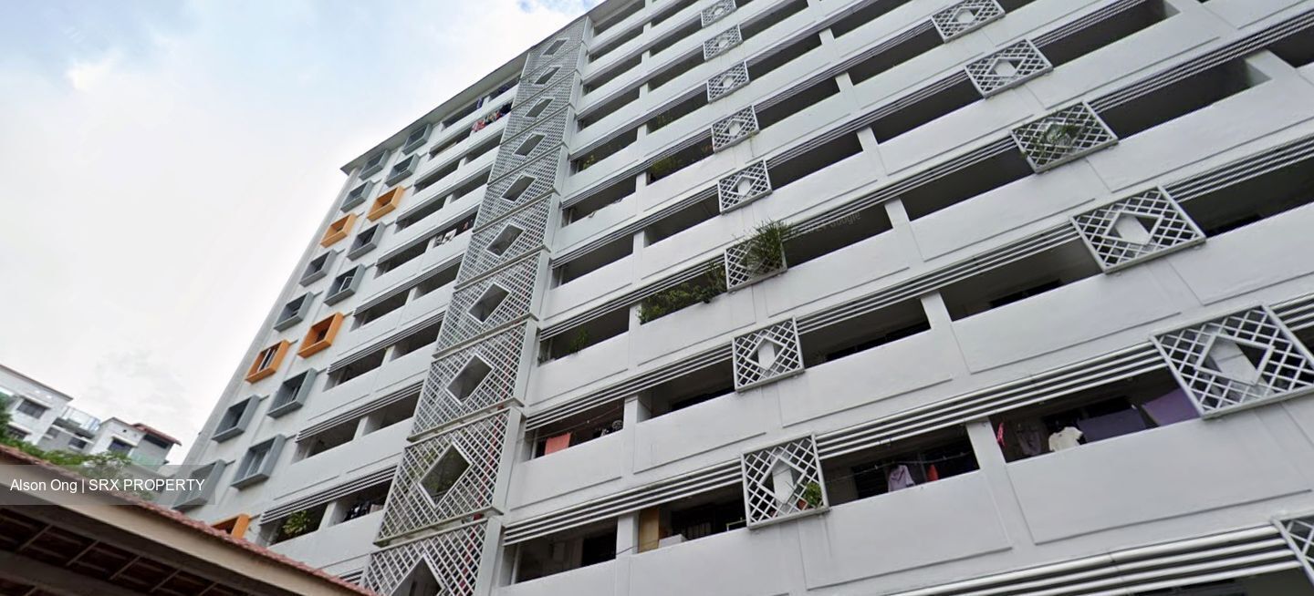 Blk 166 Stirling View (Queenstown), HDB 3 Rooms #615988491